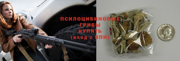 не бодяженный Ельня