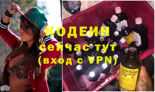 не бодяженный Ельня