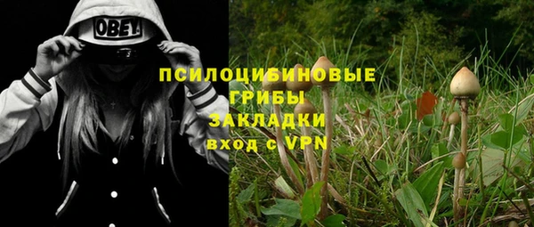 прущая мука Новозыбков