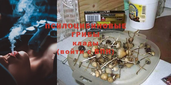 не бодяженный Ельня