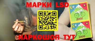МДПВ Кингисепп