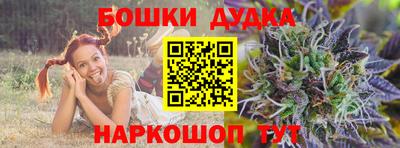 МДПВ Кингисепп