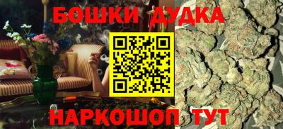 МДПВ Кингисепп