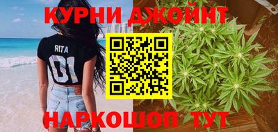 МДПВ Кингисепп