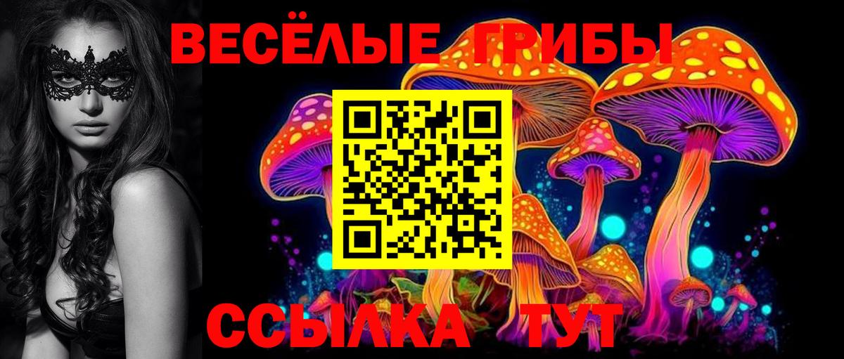 Галлюциногенные грибы Magic Shrooms  Вход с VPN  Сибай 