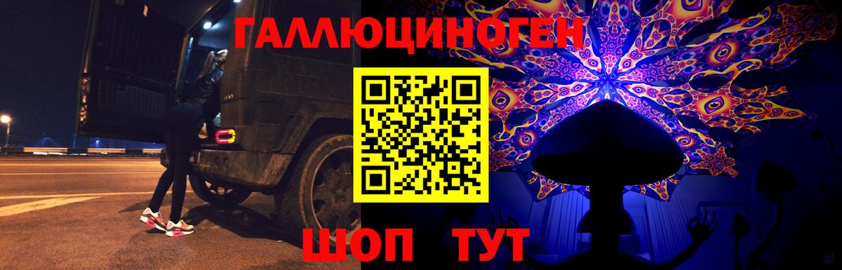 Псилоцибиновые грибы Cubensis  Сибай 